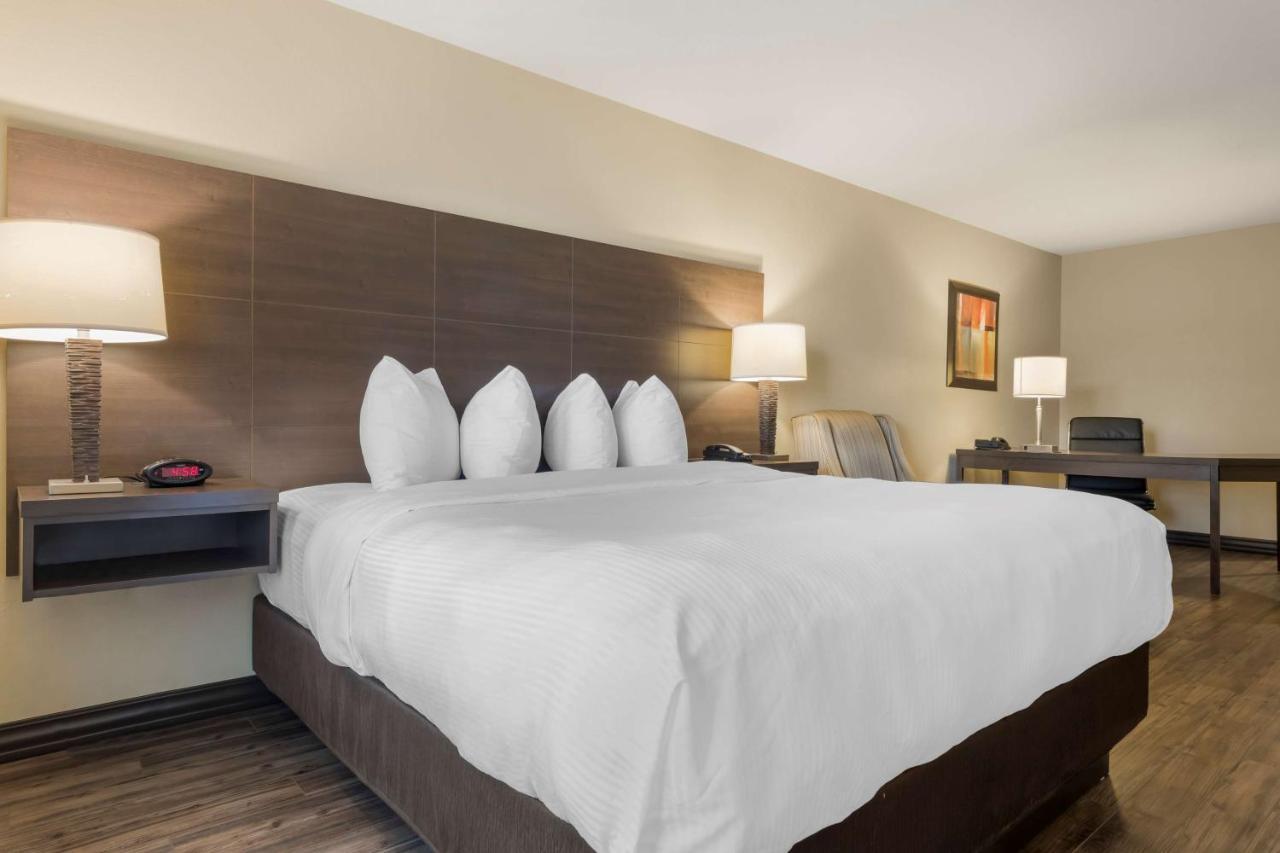 Best Western Plus Saint John Hotel & Suites Extérieur photo