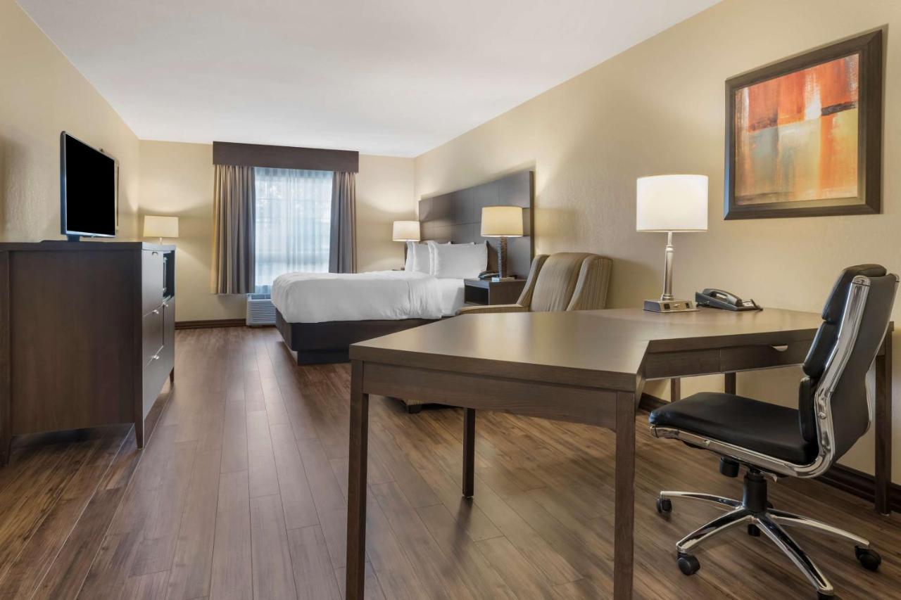 Best Western Plus Saint John Hotel & Suites Extérieur photo